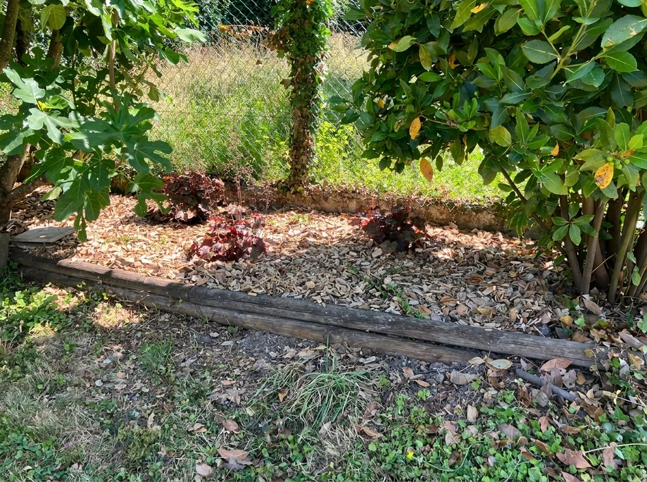 Jardin extérieur ombragé avec massif délimité par une traverse en bois vieilli