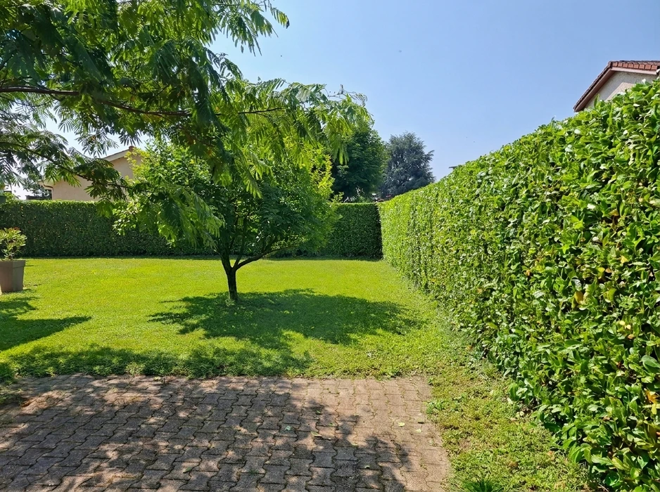 Jardin privatif ensoleillé, entouré de haies taillées denses