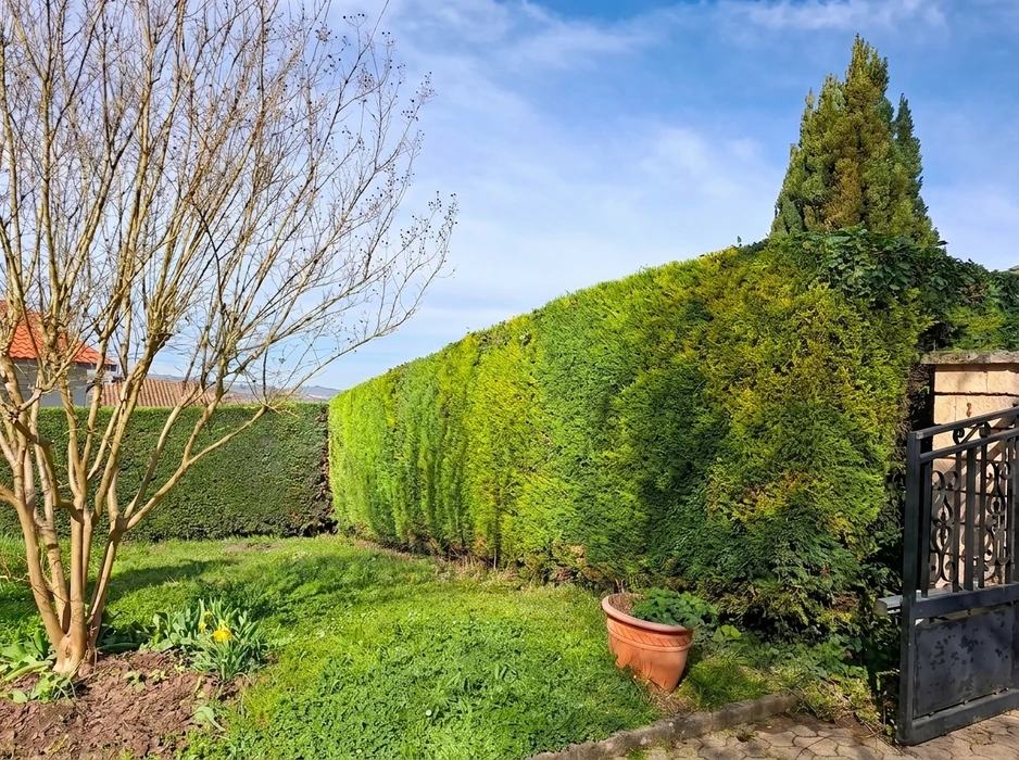 Jardin résidentiel français avec allée en gravier blanc calcaire stabilisé