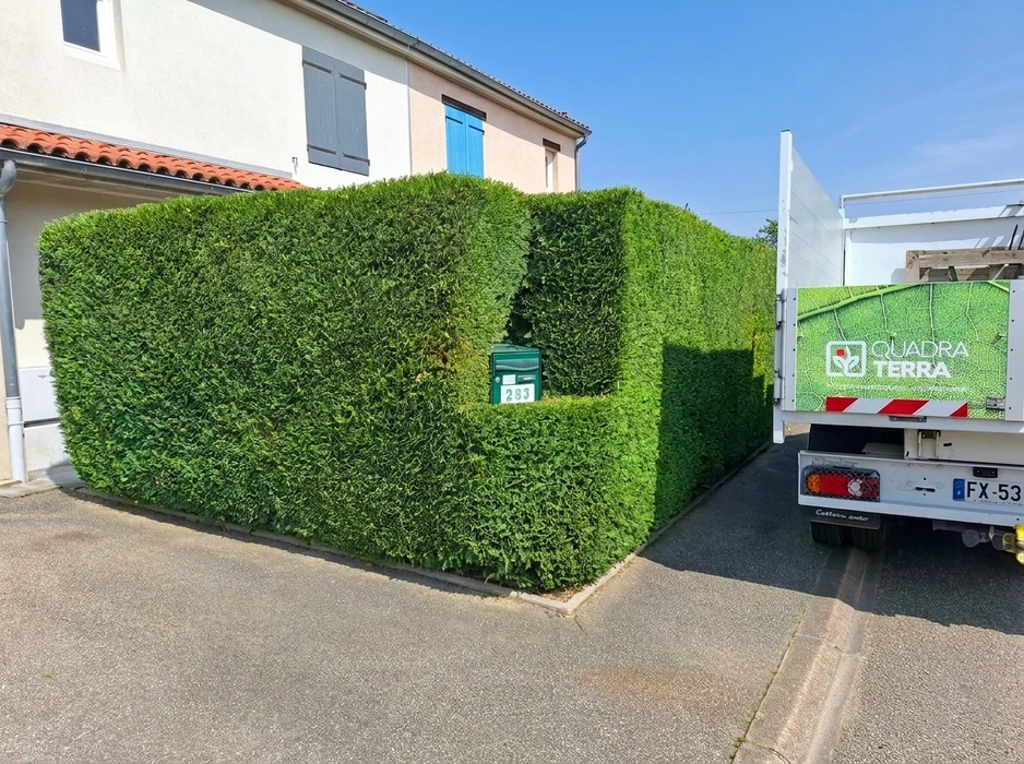 Clôture en bois horizontale récemment installée, séparant une allée goudronnée d'une propriété voisine