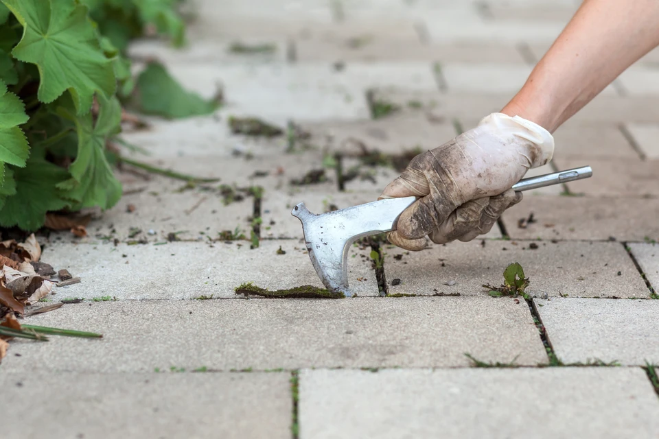 Un professionnel en tenue de travail verte effectue l'entretien d'espaces verts extérieurs avec un taille-haie motorisé