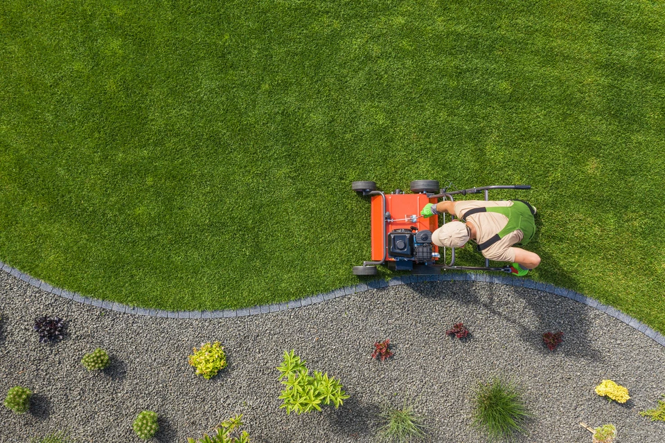 Jardin paysager extérieur avec parterres géométriques ornementaux, bassin circulaire central entouré de massifs floraux colorés, pelouse parfaitement entretenue, allées pavées courbes, haies taillées au cordeau, conifères élancés en arrière-plan