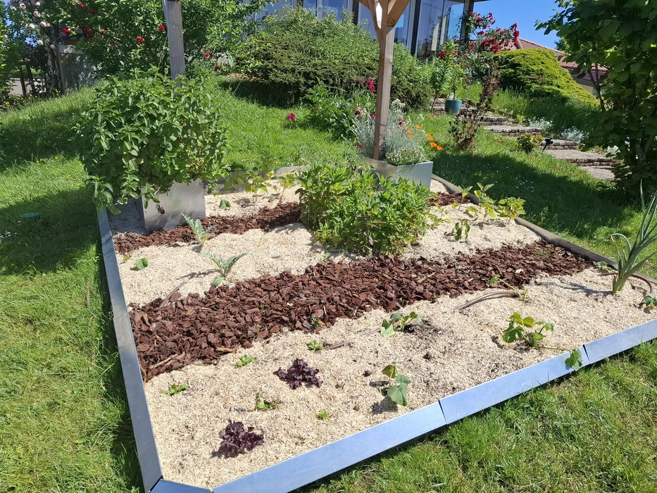 Jardin partagé urbain ensoleillé avec potager surélevé en acier galvanisé anthracite à parois ondulées, pergola en bois douglas, carrés potagers en béton préfabriqué, abri de jardin en métal, arrosoir, récupérateur d'eau
