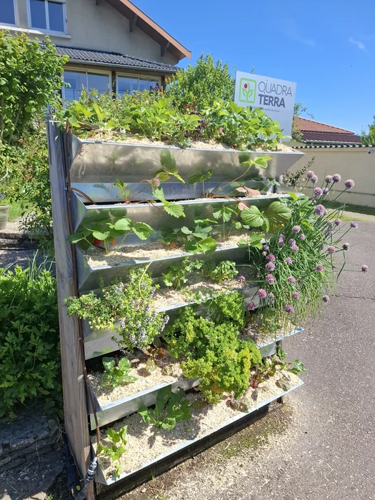 Jardin partagé urbain ensoleillé avec potager surélevé en acier galvanisé anthracite à parois ondulées, pergola en bois douglas, carrés potagers en béton préfabriqué, abri de jardin en métal, arrosoir, récupérateur d'eau