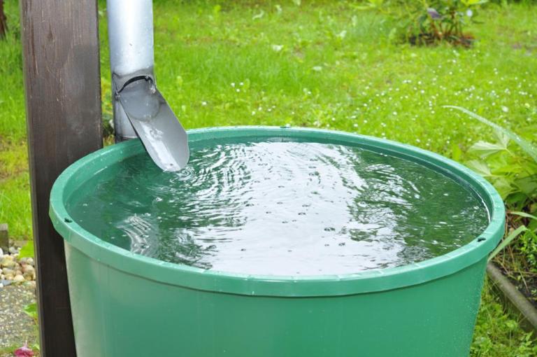 Récupérer l'eau de pluie à Miribel, bonne idée pour son jardin ?